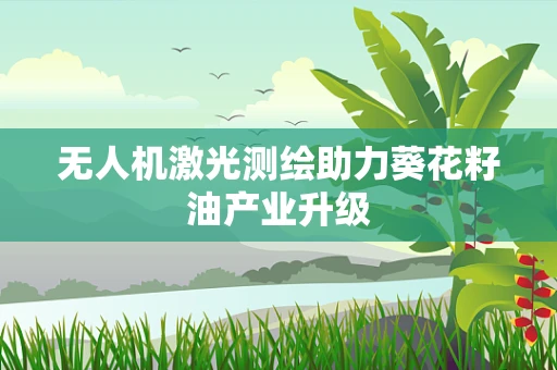 无人机激光测绘助力葵花籽油产业升级