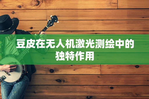 豆皮在无人机激光测绘中的独特作用