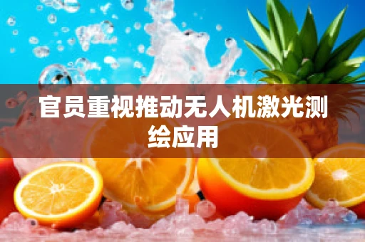 官员重视推动无人机激光测绘应用