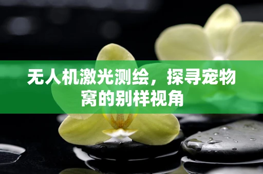 无人机激光测绘，探寻宠物窝的别样视角