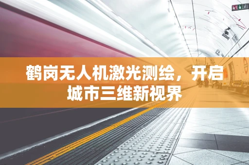 鹤岗无人机激光测绘，开启城市三维新视界