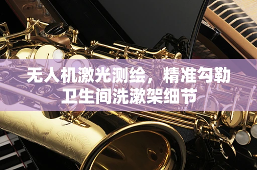 无人机激光测绘，精准勾勒卫生间洗漱架细节