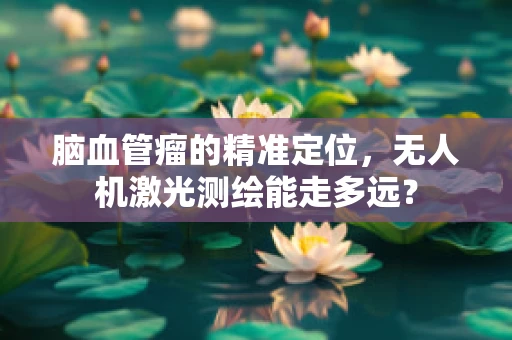 脑血管瘤的精准定位，无人机激光测绘能走多远？