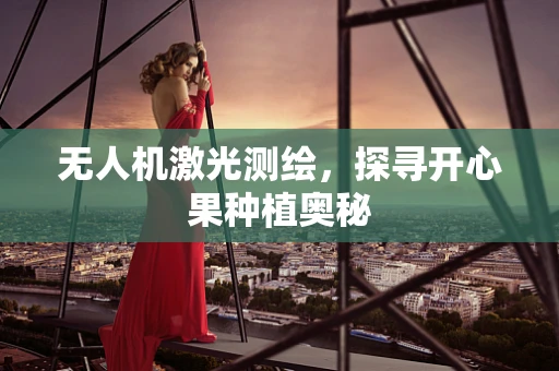 无人机激光测绘，探寻开心果种植奥秘