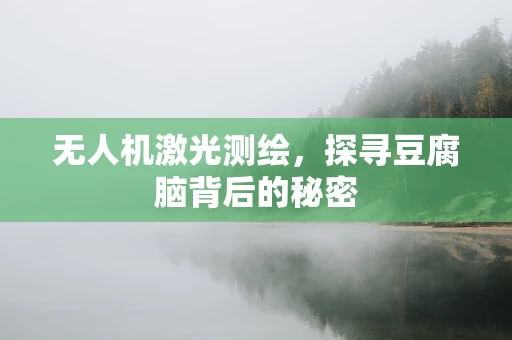 无人机激光测绘，探寻豆腐脑背后的秘密