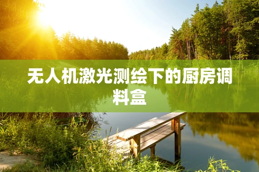无人机激光测绘下的厨房调料盒