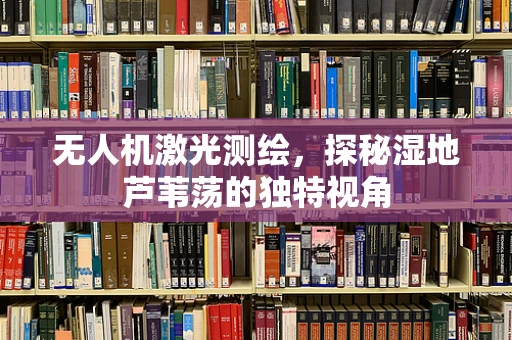 无人机激光测绘，探秘湿地芦苇荡的独特视角