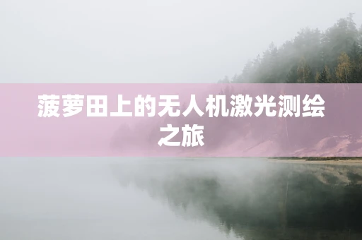 菠萝田上的无人机激光测绘之旅