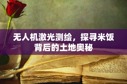 无人机激光测绘，探寻米饭背后的土地奥秘
