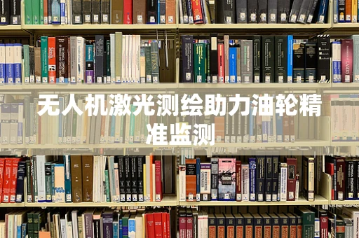 无人机激光测绘助力油轮精准监测