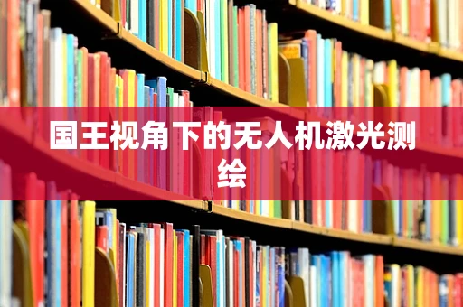 国王视角下的无人机激光测绘