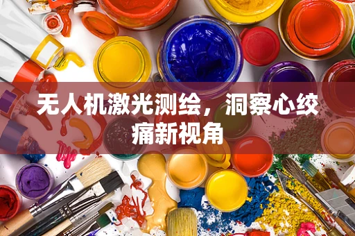 无人机激光测绘，洞察心绞痛新视角