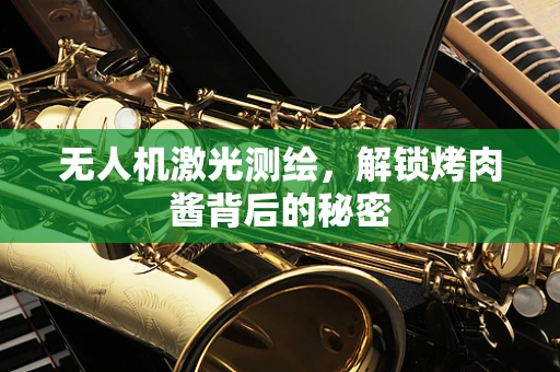 无人机激光测绘，解锁烤肉酱背后的秘密