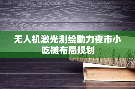 无人机激光测绘助力夜市小吃摊布局规划