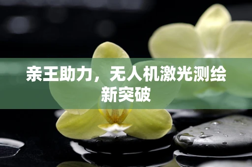亲王助力，无人机激光测绘新突破