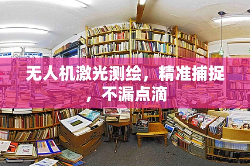 无人机激光测绘，精准捕捉，不漏点滴