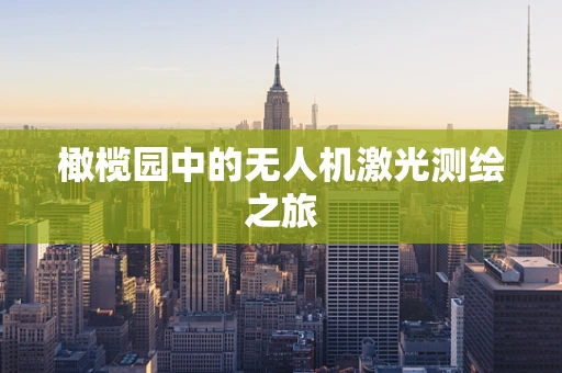 橄榄园中的无人机激光测绘之旅
