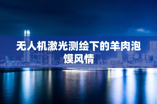 无人机激光测绘下的羊肉泡馍风情