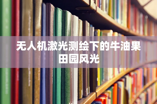 无人机激光测绘下的牛油果田园风光