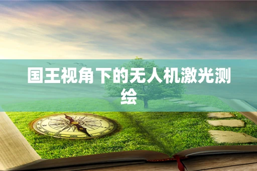 国王视角下的无人机激光测绘