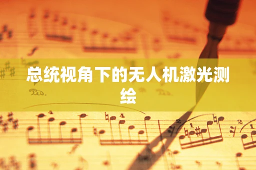 总统视角下的无人机激光测绘