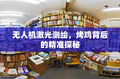 无人机激光测绘，烤鸡背后的精准探秘