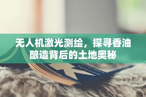 无人机激光测绘，探寻香油酿造背后的土地奥秘
