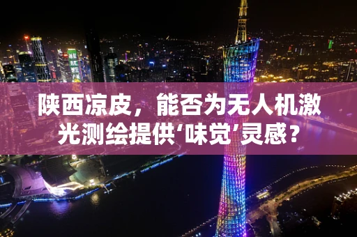 陕西凉皮，能否为无人机激光测绘提供‘味觉’灵感？
