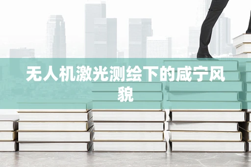 无人机激光测绘下的咸宁风貌