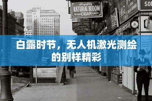 白露时节，无人机激光测绘的别样精彩