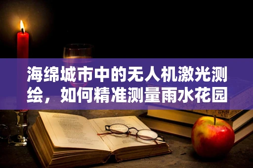 海绵城市中的无人机激光测绘，如何精准测量雨水花园的渗透效率？