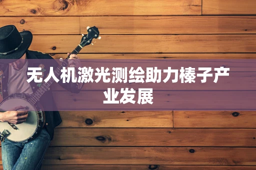 无人机激光测绘助力榛子产业发展