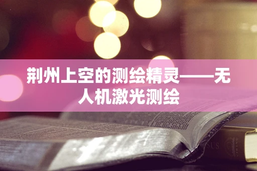 荆州上空的测绘精灵——无人机激光测绘