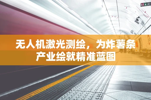 无人机激光测绘，为炸薯条产业绘就精准蓝图