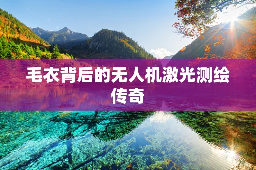 毛衣背后的无人机激光测绘传奇