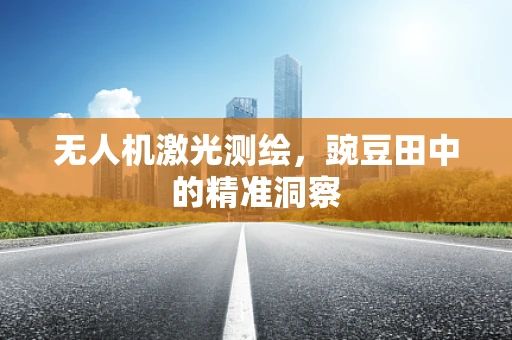 无人机激光测绘，豌豆田中的精准洞察