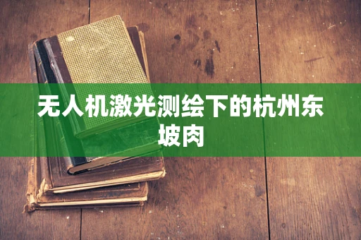 无人机激光测绘下的杭州东坡肉