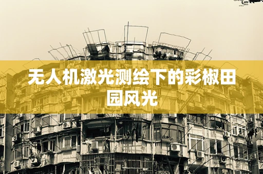 无人机激光测绘下的彩椒田园风光