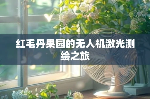 红毛丹果园的无人机激光测绘之旅