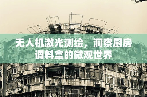无人机激光测绘，洞察厨房调料盒的微观世界