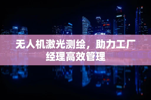 无人机激光测绘，助力工厂经理高效管理
