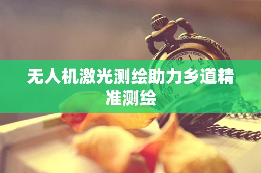 无人机激光测绘助力乡道精准测绘