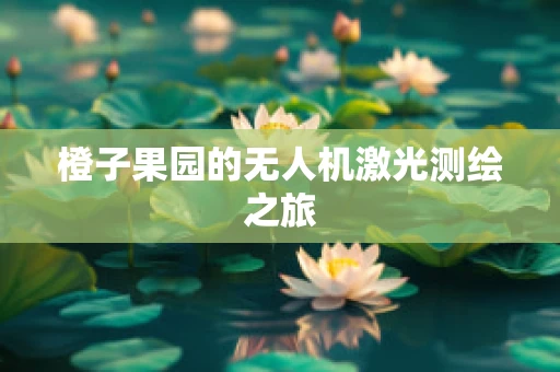 橙子果园的无人机激光测绘之旅