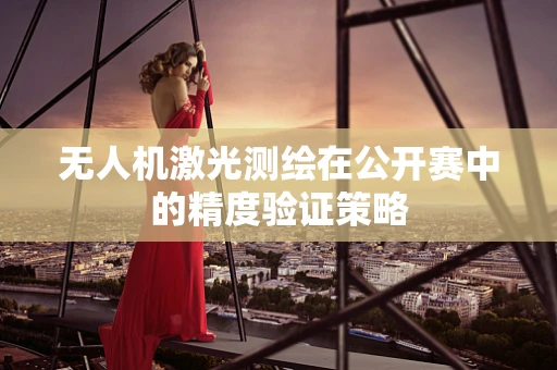 无人机激光测绘在公开赛中的精度验证策略