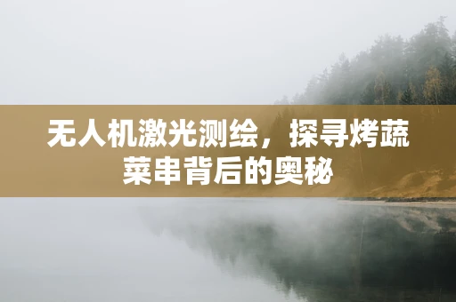 无人机激光测绘，探寻烤蔬菜串背后的奥秘