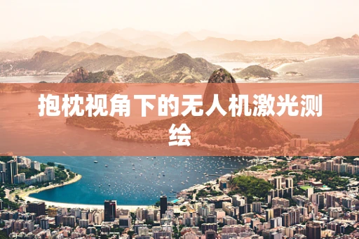 抱枕视角下的无人机激光测绘