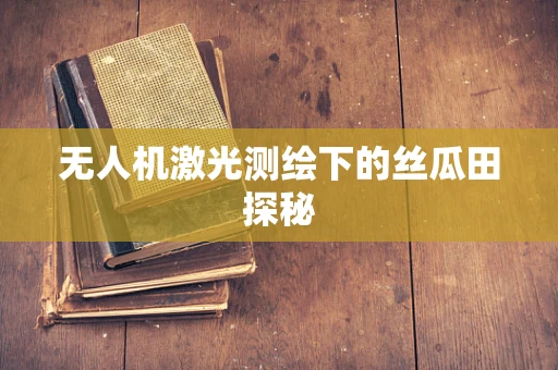 无人机激光测绘下的丝瓜田探秘