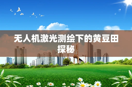 无人机激光测绘下的黄豆田探秘
