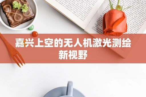 嘉兴上空的无人机激光测绘新视野