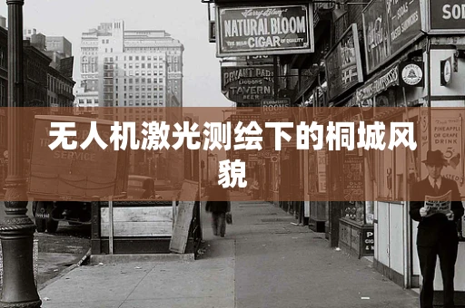 无人机激光测绘下的桐城风貌